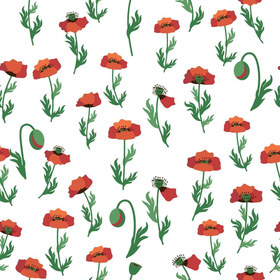 Summer seamless pattern with bright red poppy flowers and poppy pods. Field, meadow of poppies vector