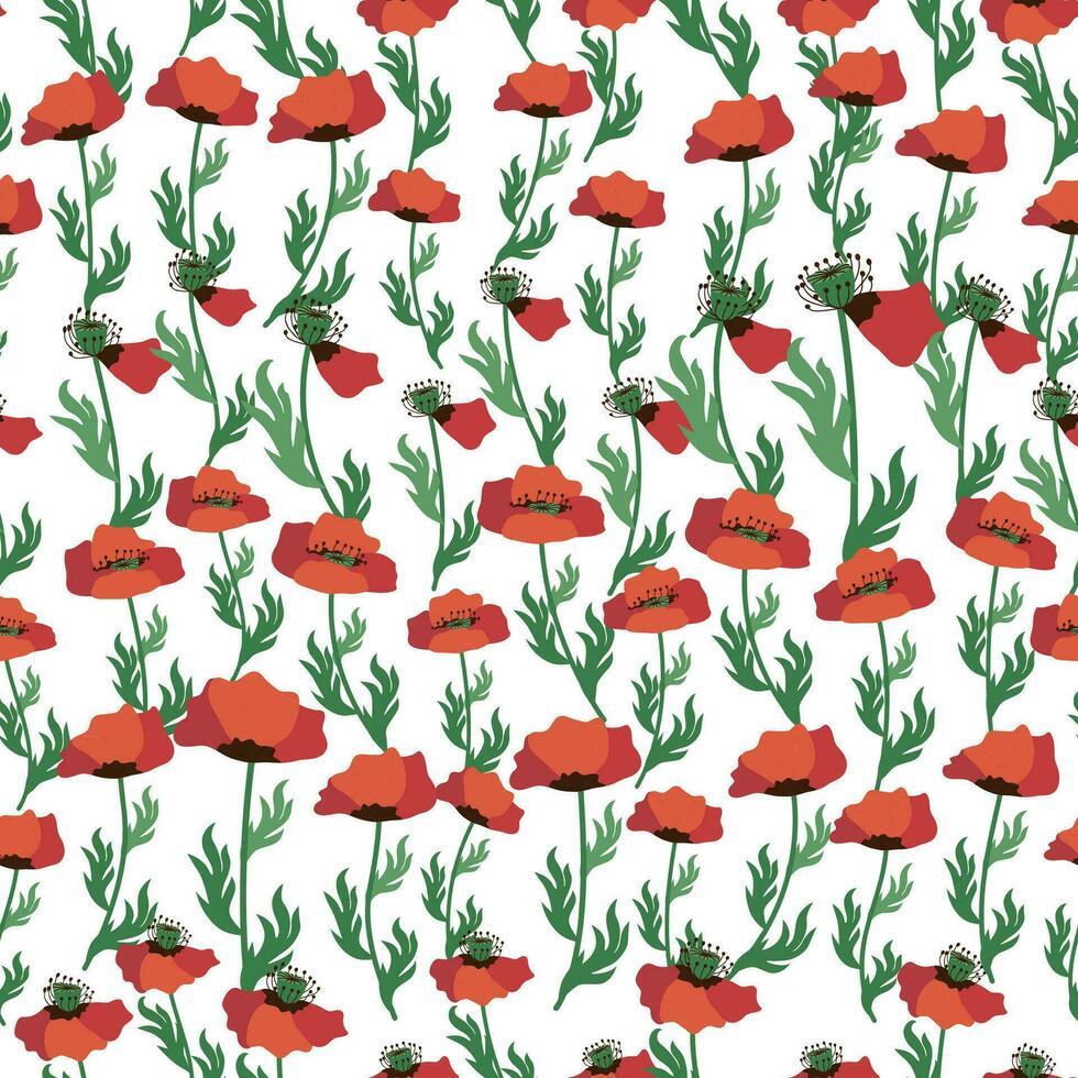 verano sin costura modelo con brillante rojo amapola flores y amapola vainas campo, prado de amapolas vector
