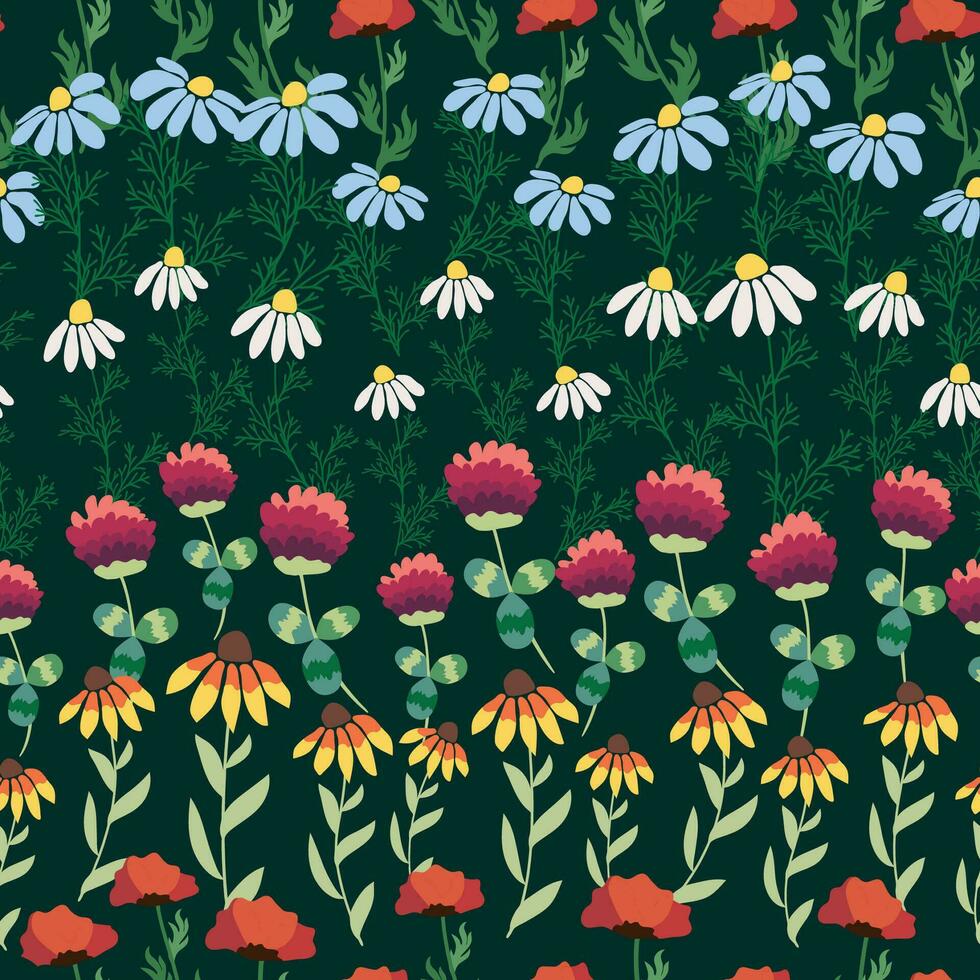 Seamless pattern with red poppies, white chamomile flowers, yellow rudbeckia. Summer flower field, meadow. vector