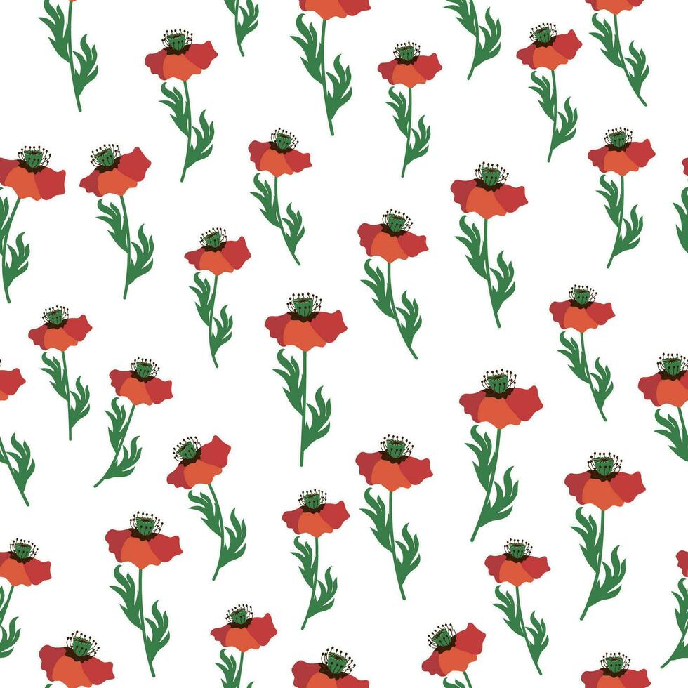 Summer seamless pattern with bright red poppy flowers and poppy pods. Field, meadow of poppies vector