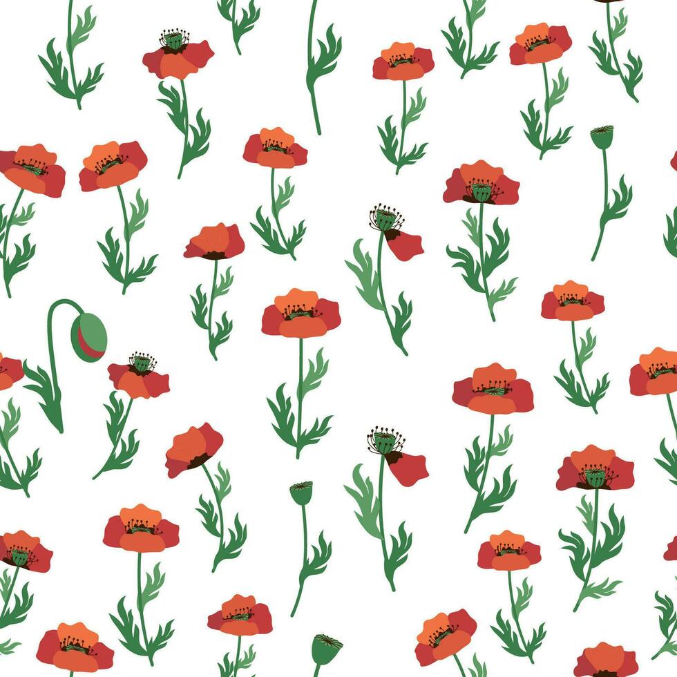 Summer seamless pattern with bright red poppy flowers and poppy pods. Field, meadow of poppies vector