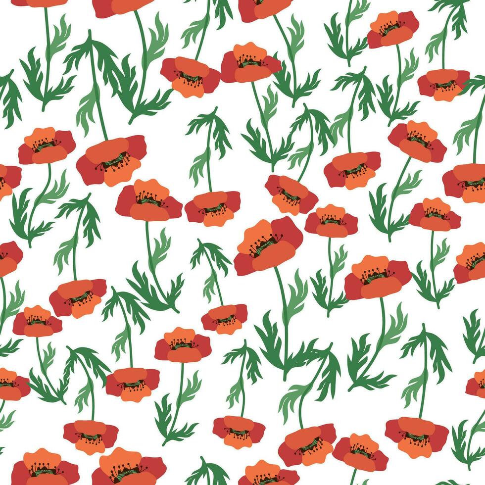 Summer seamless pattern with bright red poppy flowers and poppy pods. Field, meadow of poppies vector