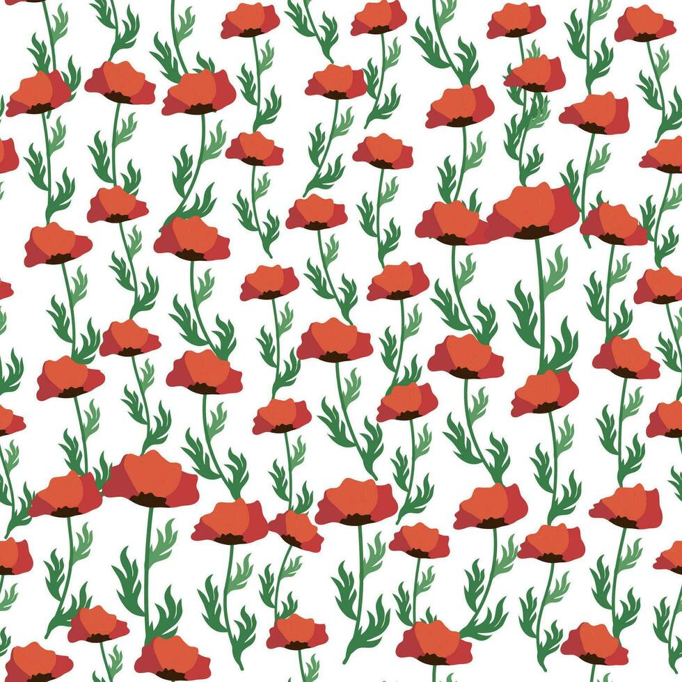 Summer seamless pattern with bright red poppy flowers and poppy pods. Field, meadow of poppies vector