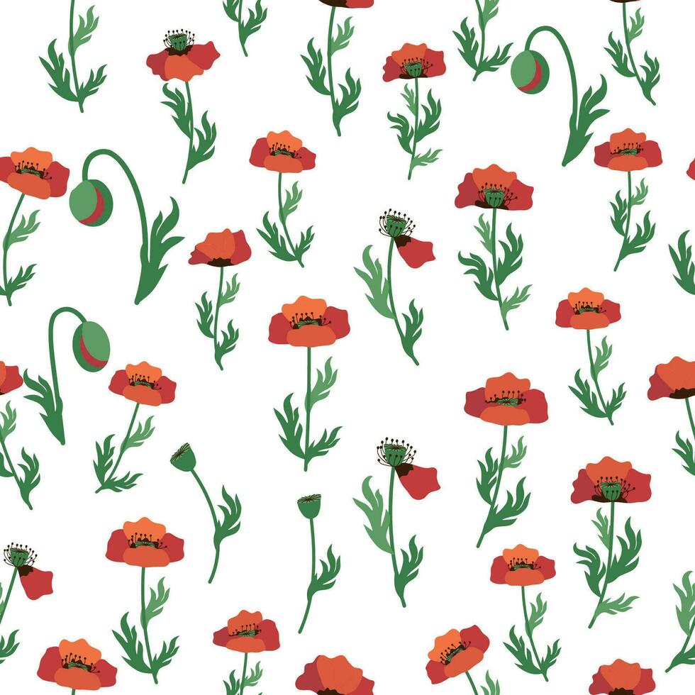 Summer seamless pattern with bright red poppy flowers and poppy pods. Field, meadow of poppies vector