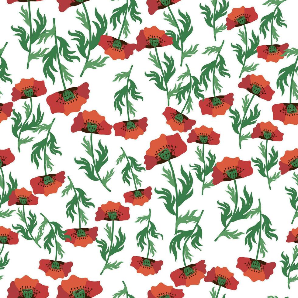 Summer seamless pattern with bright red poppy flowers and poppy pods. Field, meadow of poppies vector