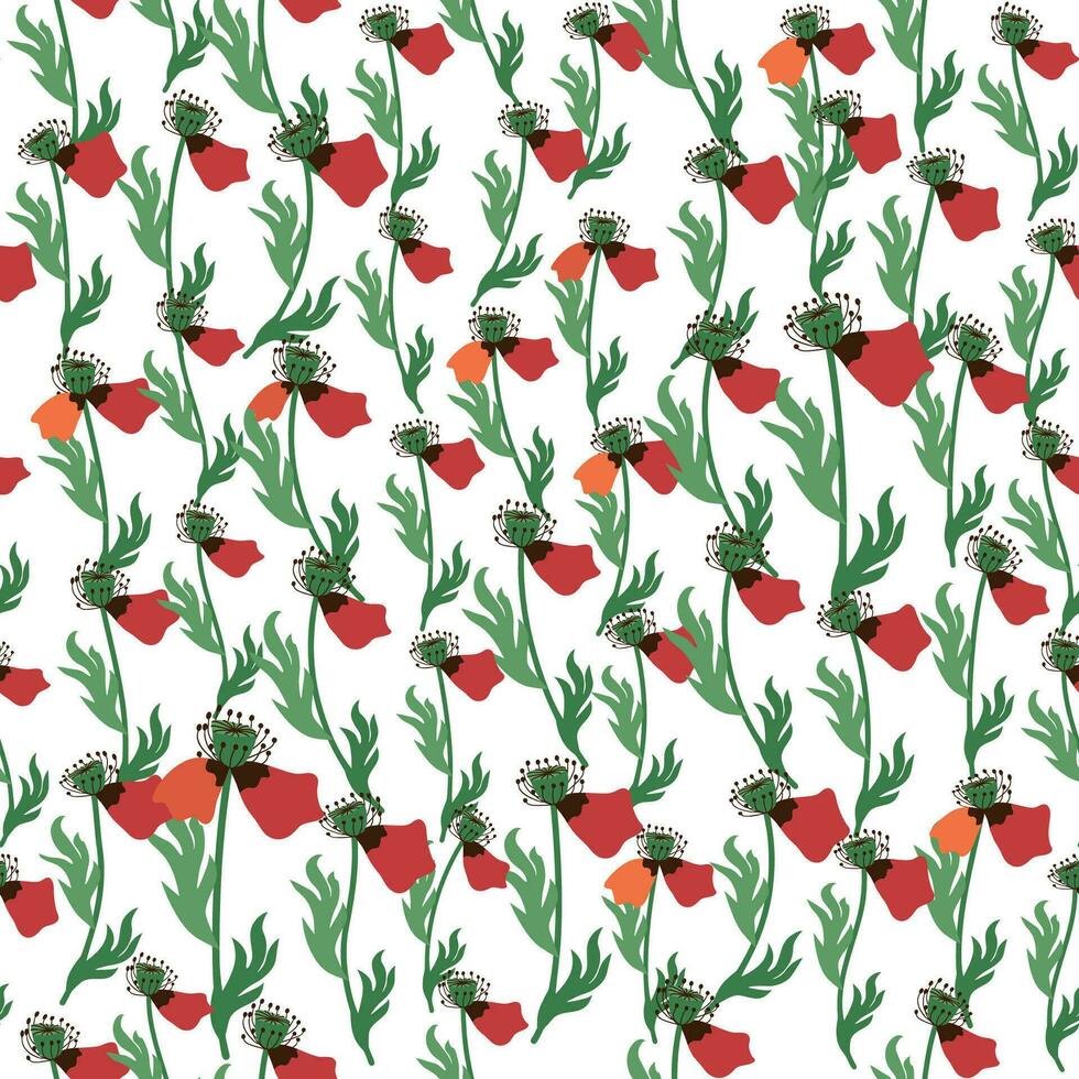 Summer seamless pattern with bright red poppy flowers and poppy pods. Field, meadow of poppies vector