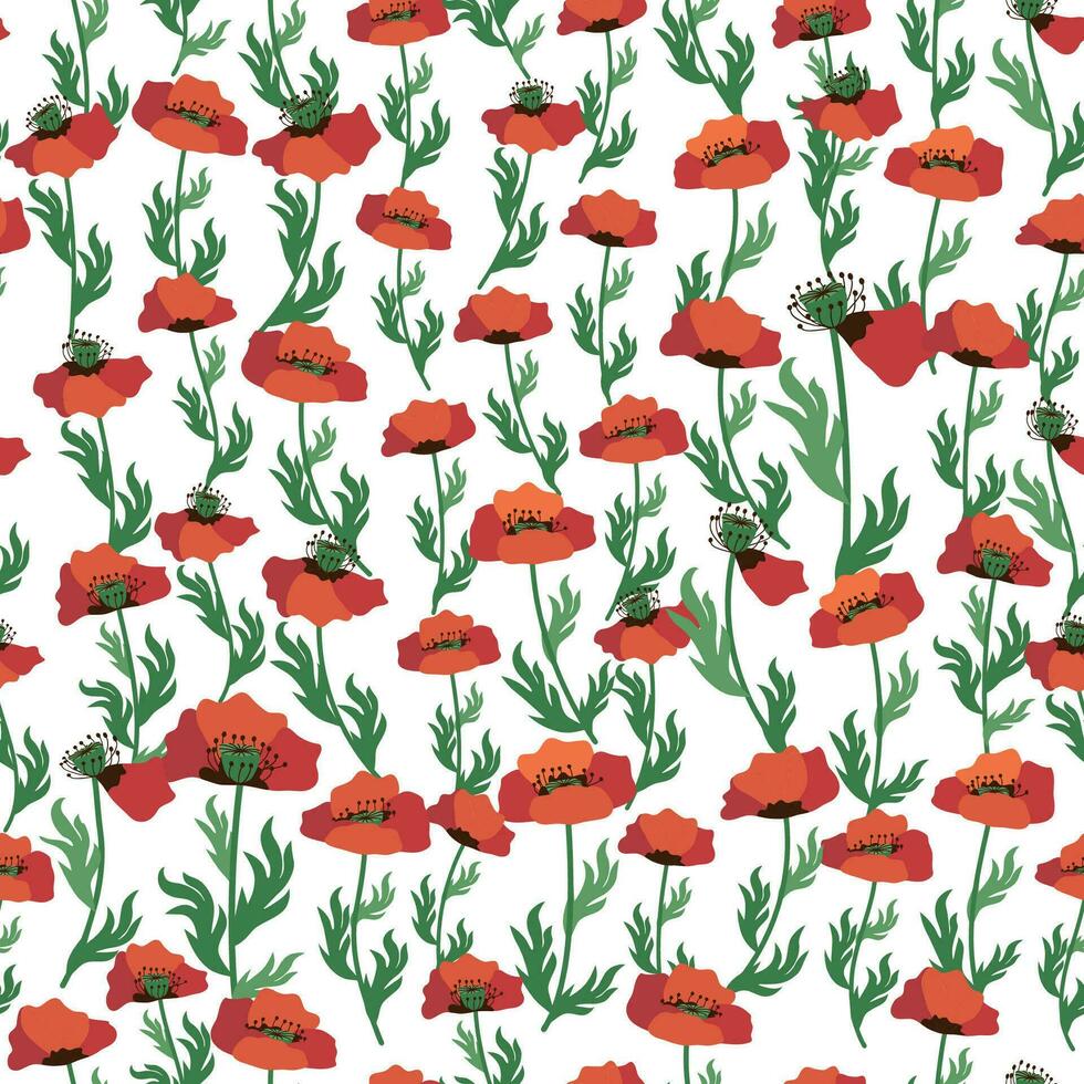 Summer seamless pattern with bright red poppy flowers and poppy pods. Field, meadow of poppies vector