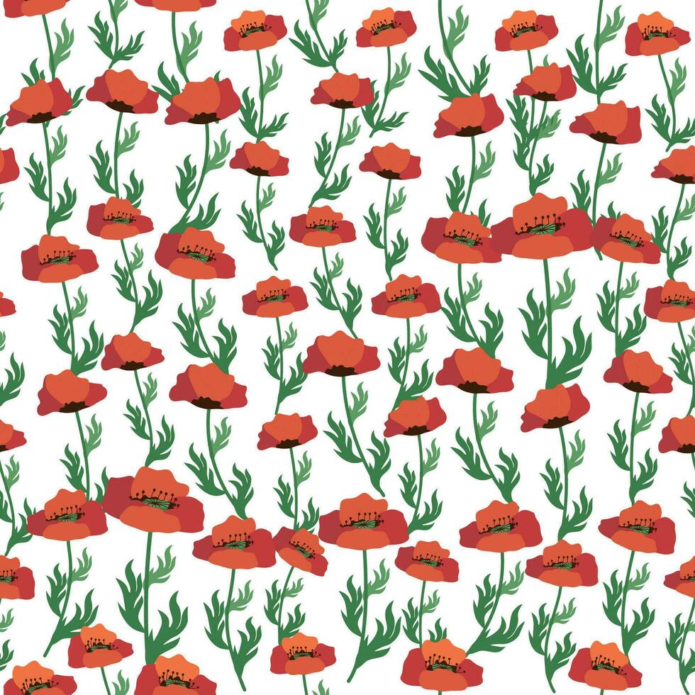 Summer seamless pattern with bright red poppy flowers and poppy pods. Field, meadow of poppies vector