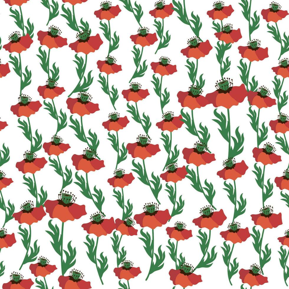 Summer seamless pattern with bright red poppy flowers and poppy pods. Field, meadow of poppies vector