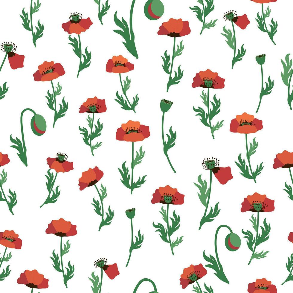 Summer seamless pattern with bright red poppy flowers and poppy pods. Field, meadow of poppies vector