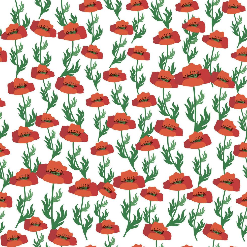 Summer seamless pattern with bright red poppy flowers and poppy pods. Field, meadow of poppies vector
