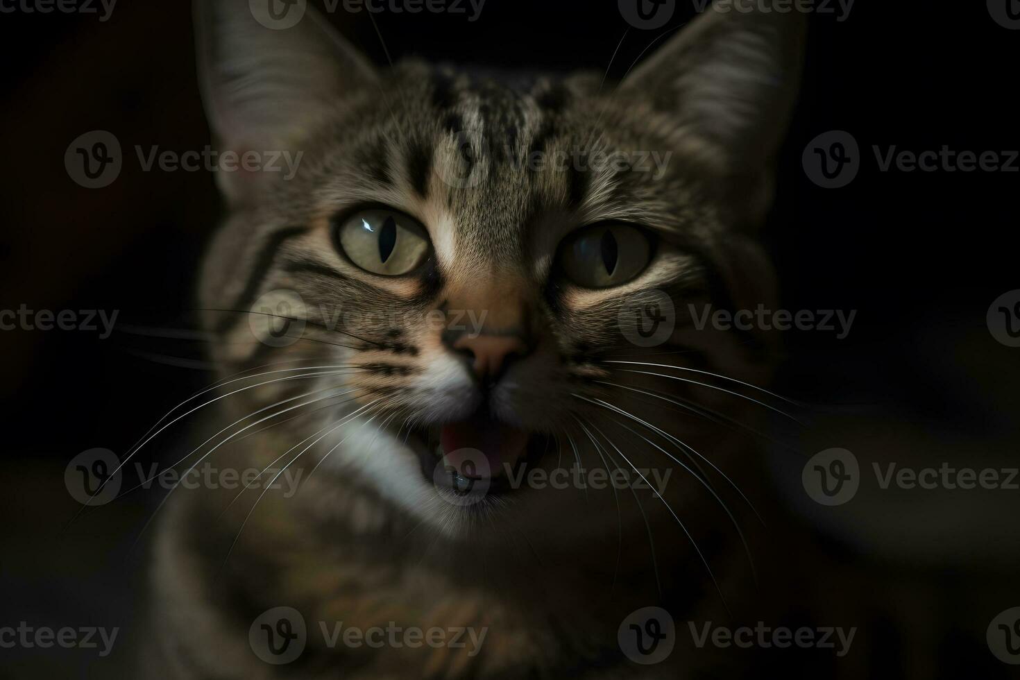 Portrait of a meowing tabby cat. Neural network AI generated photo
