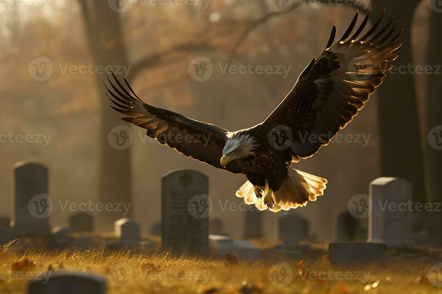 Eagle at American Cemetery. Neural network AI generated photo