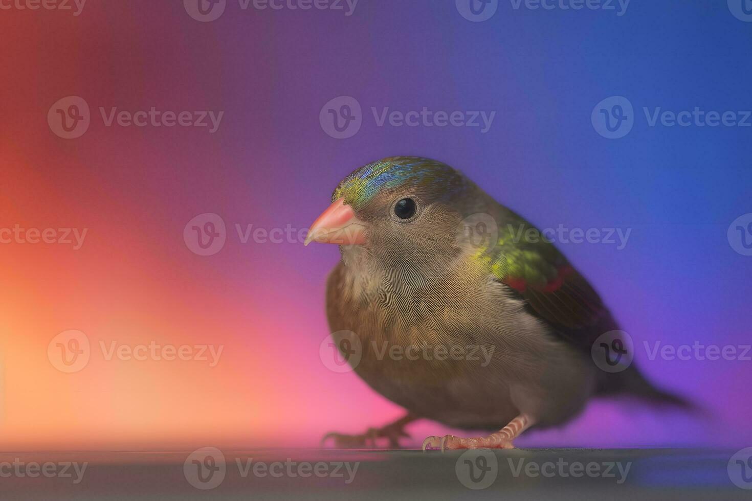 Fantasy cute rainbow bird suitable for children book. Neural network AI generated photo