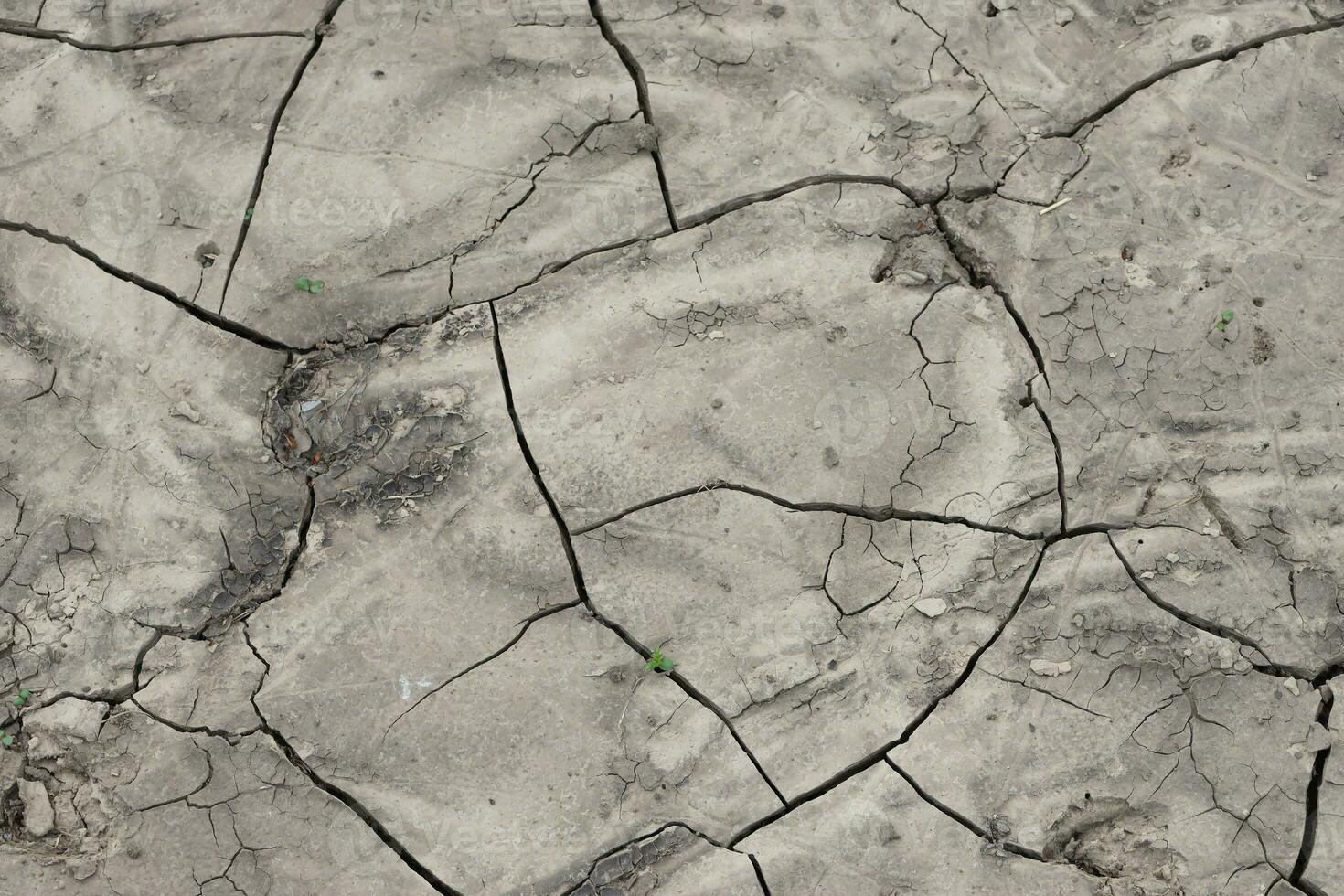 The ground has cracks in the top view for background photo