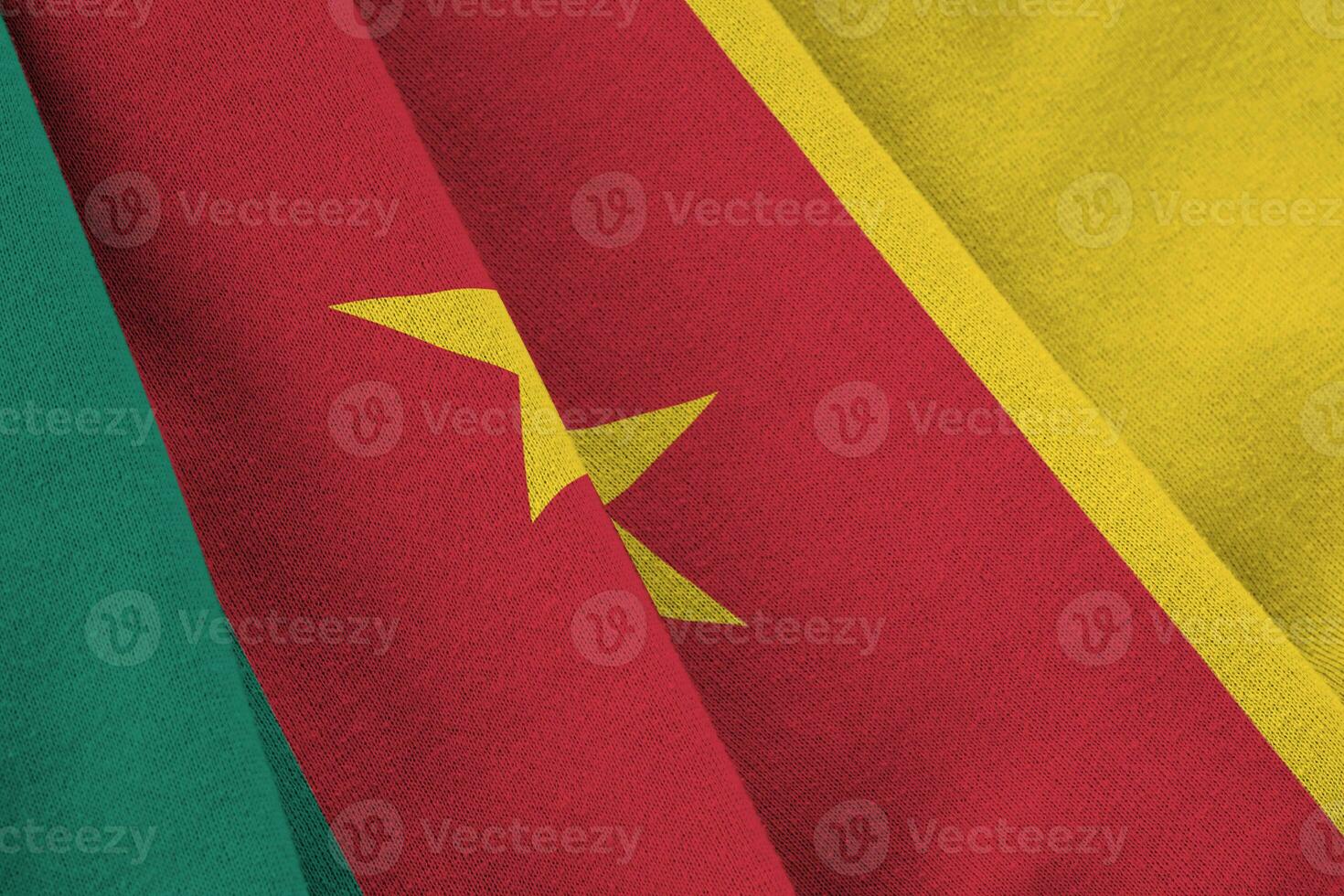 Cameroon flag with big folds waving close up under the studio light indoors. The official symbols and colors in banner photo