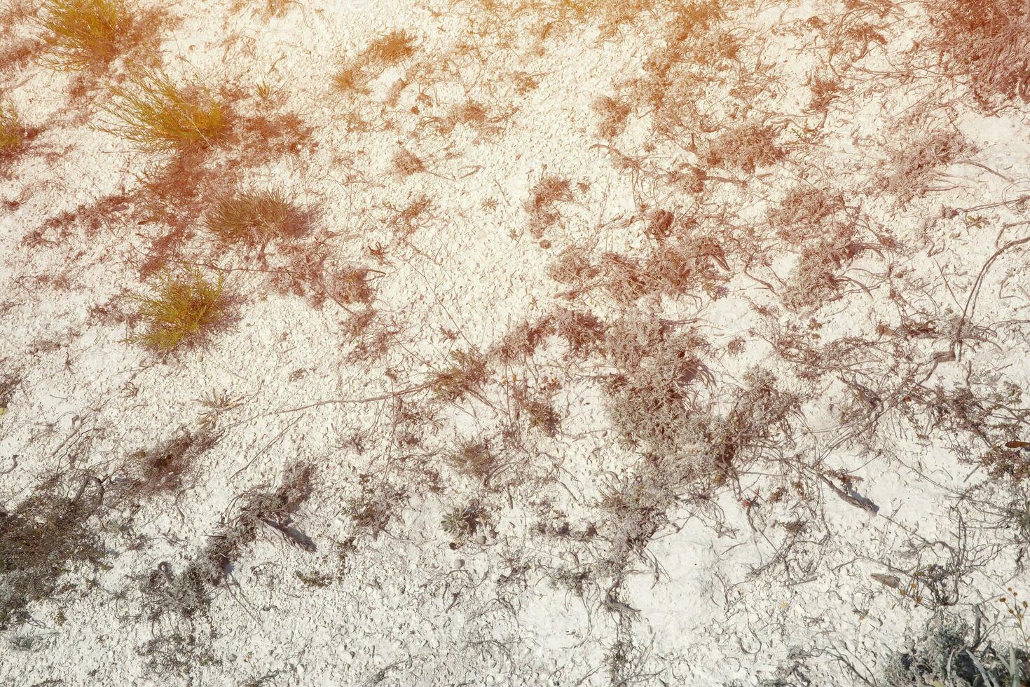 Opencast mining chalk surface with dry green bushes in hills photo