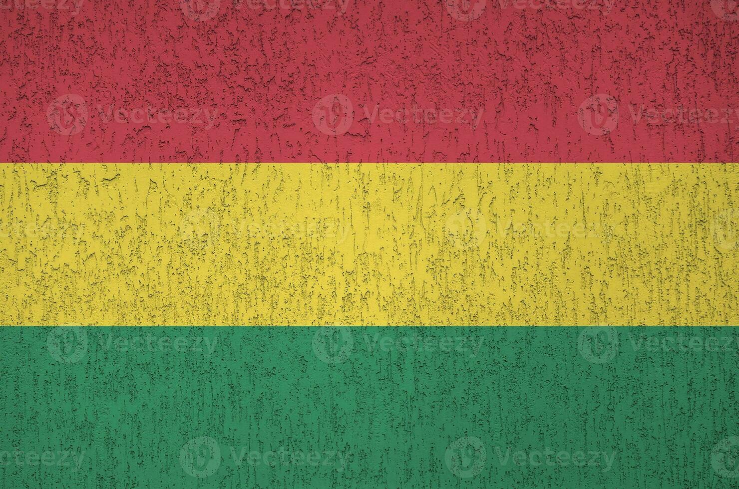 Bolivia flag depicted in bright paint colors on old relief plastering wall. Textured banner on rough background photo