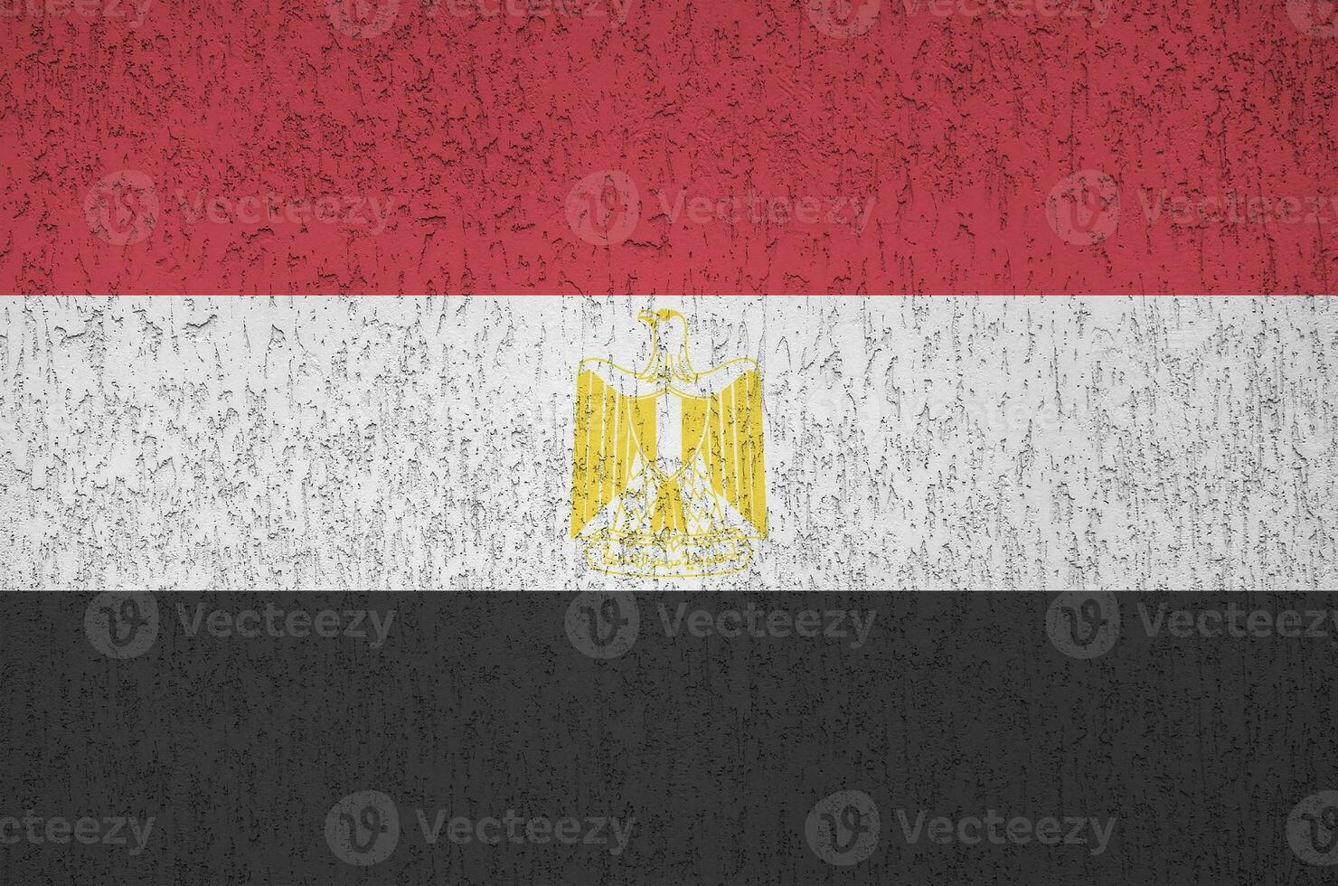 Egypt flag depicted in bright paint colors on old relief plastering wall. Textured banner on rough background photo