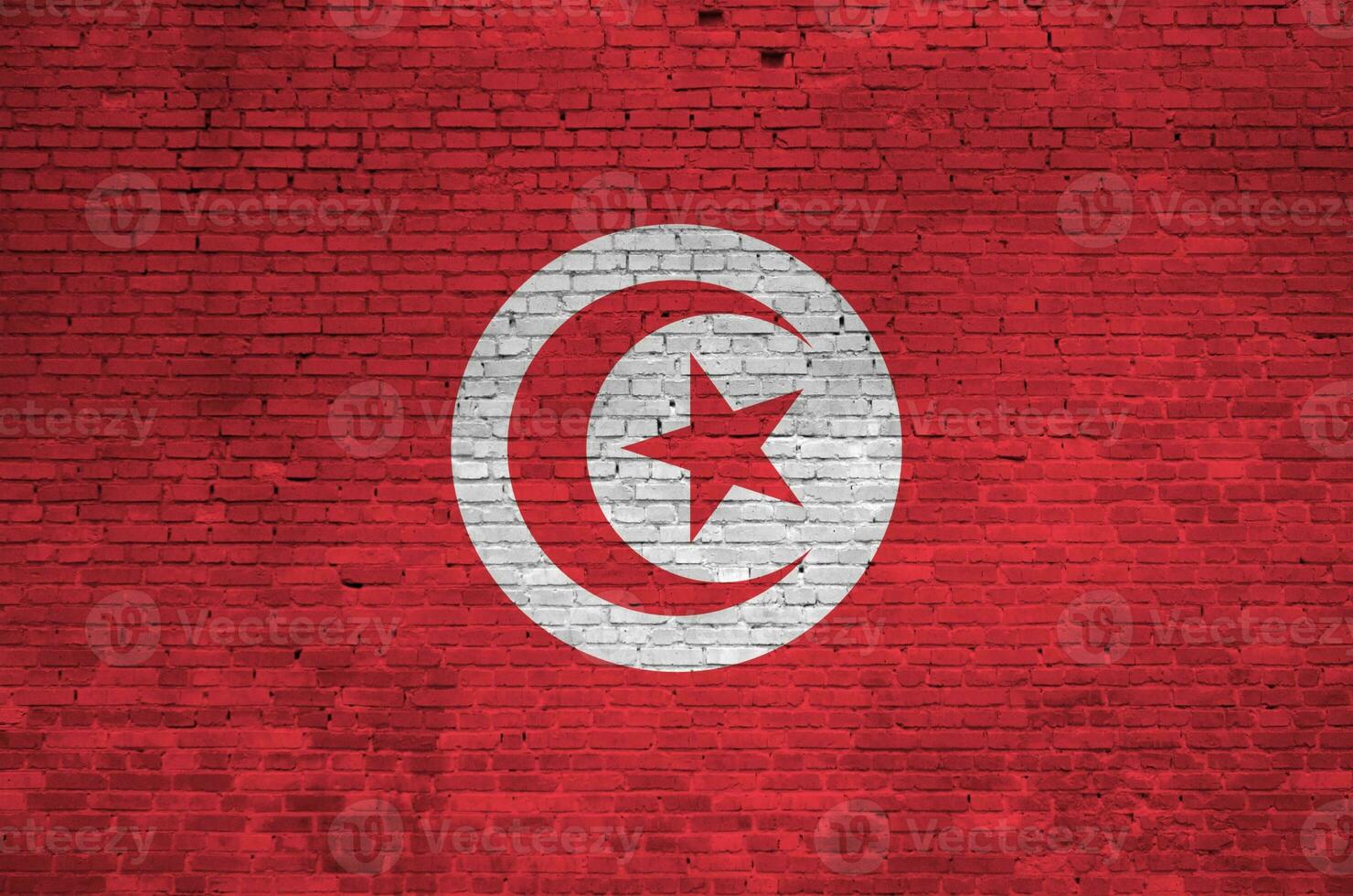 Tunisia flag depicted in paint colors on old brick wall. Textured banner on big brick wall masonry background photo