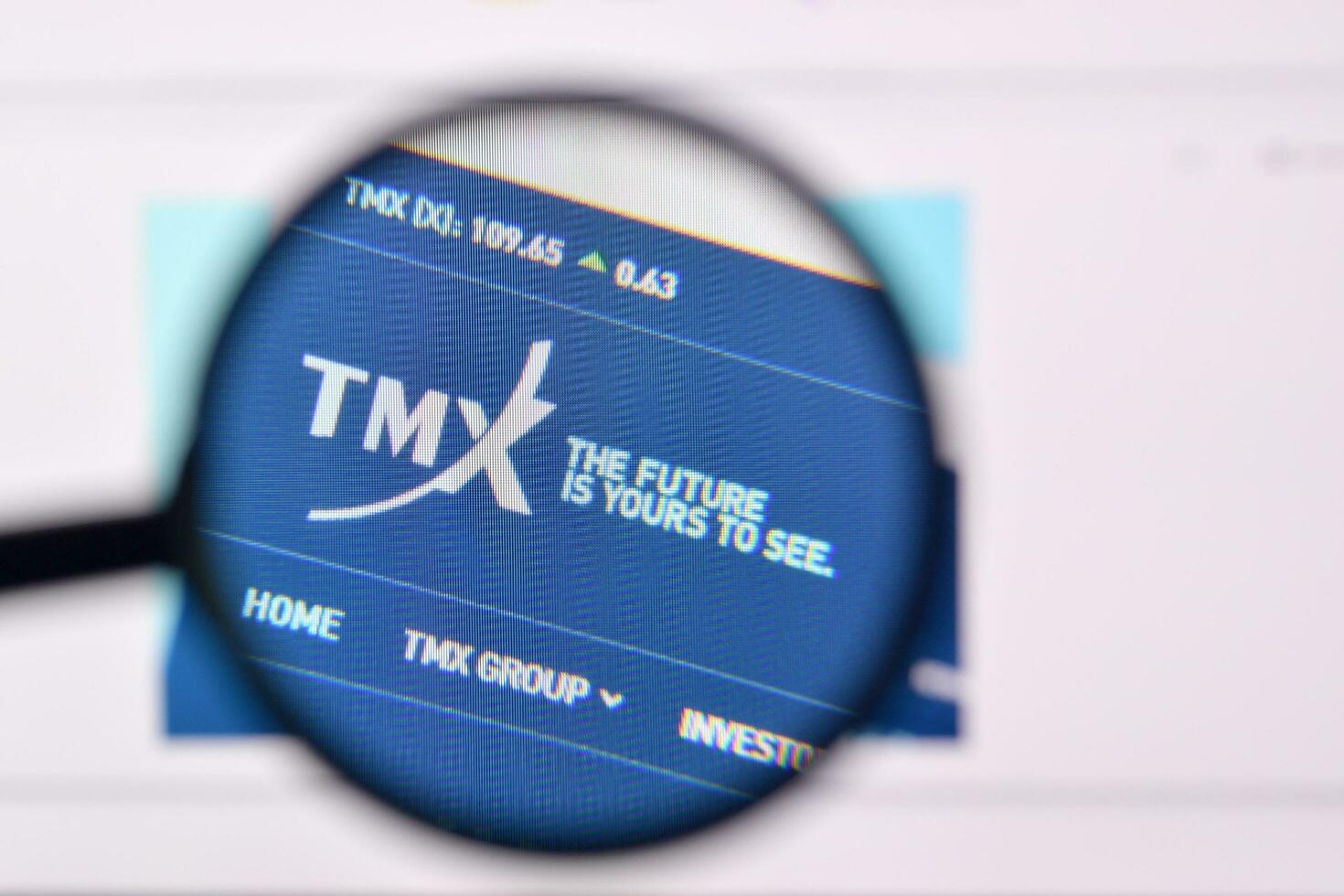 Homepage of tmx website on the display of PC, url - tmx.com. photo