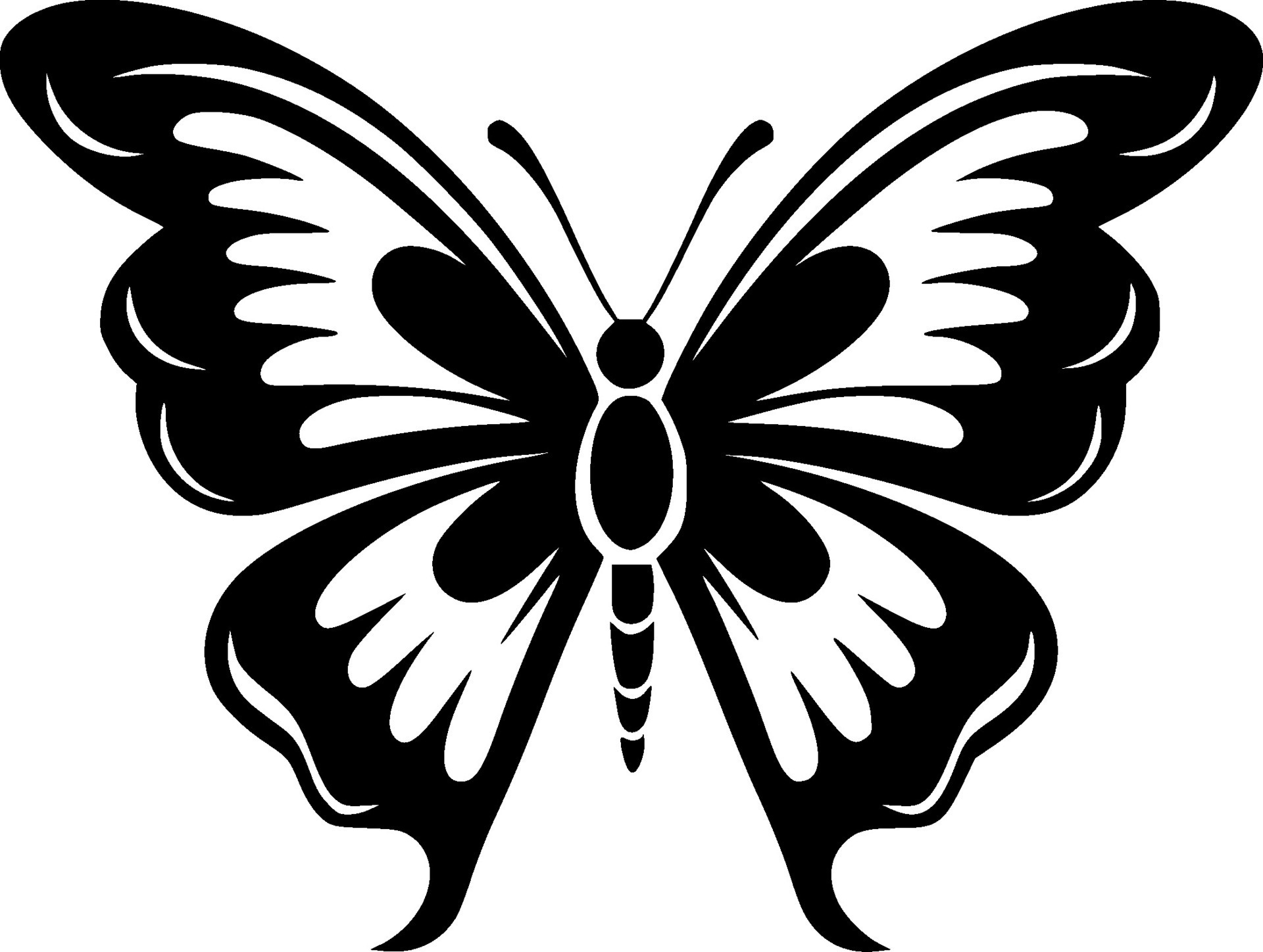 Butterfly, Black and White Vector illustration 29622469 Vector Art at