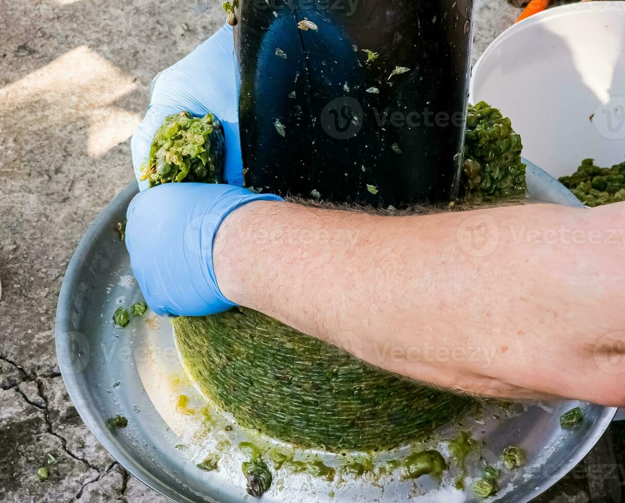 The process of making homemade grape wine. A winemaker collects grape pulp from a hydraulic press. photo