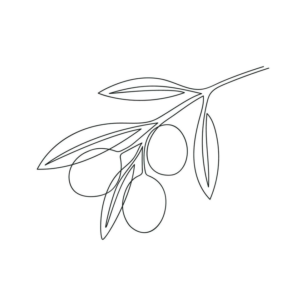 Olive branch drawn in one continuous line. One line drawing, minimalism. Vector illustration.