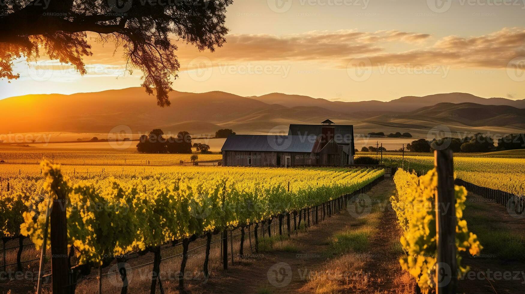 A Majestic Sunset Graces the Vineyard, Mountains, and Barn in the distance. Generative AI photo