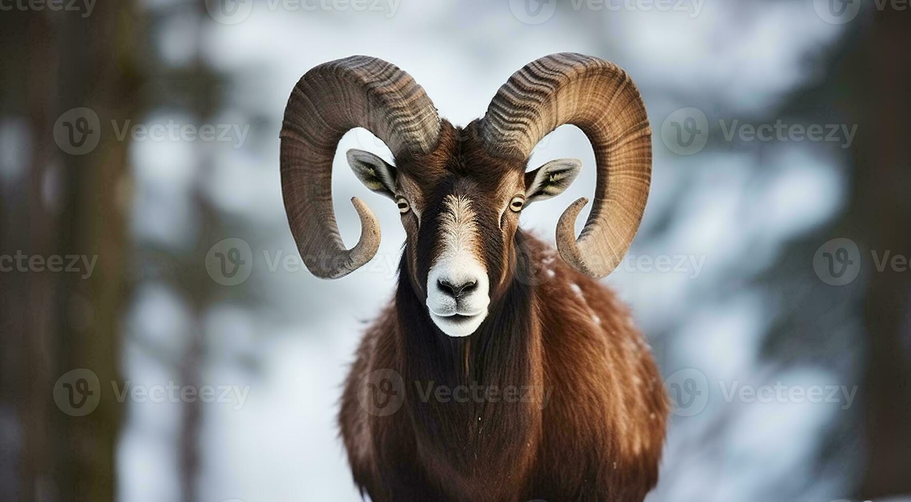 Mouflon, Ovis orientalis, forest horned animal in nature habitat. Close-up portrait of mammal with big horns, Generative AI photo