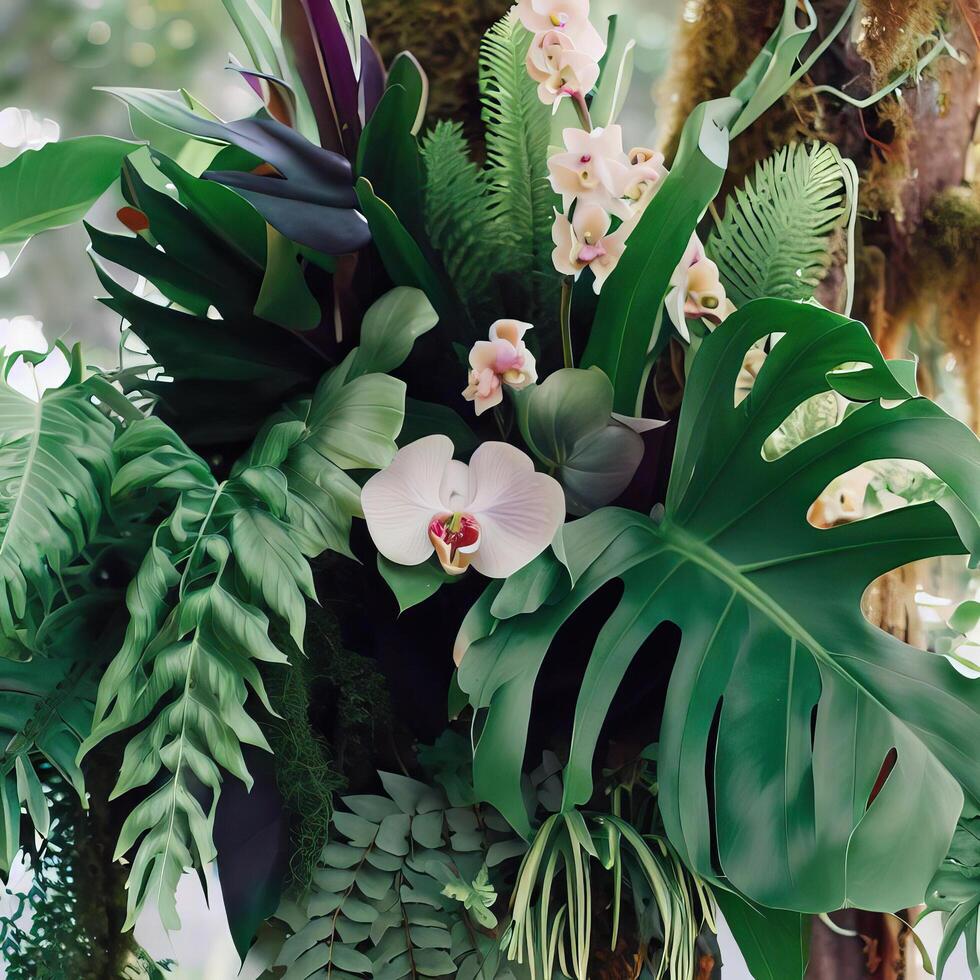 Dark green leaves monstera or split leaf philodendron. photo