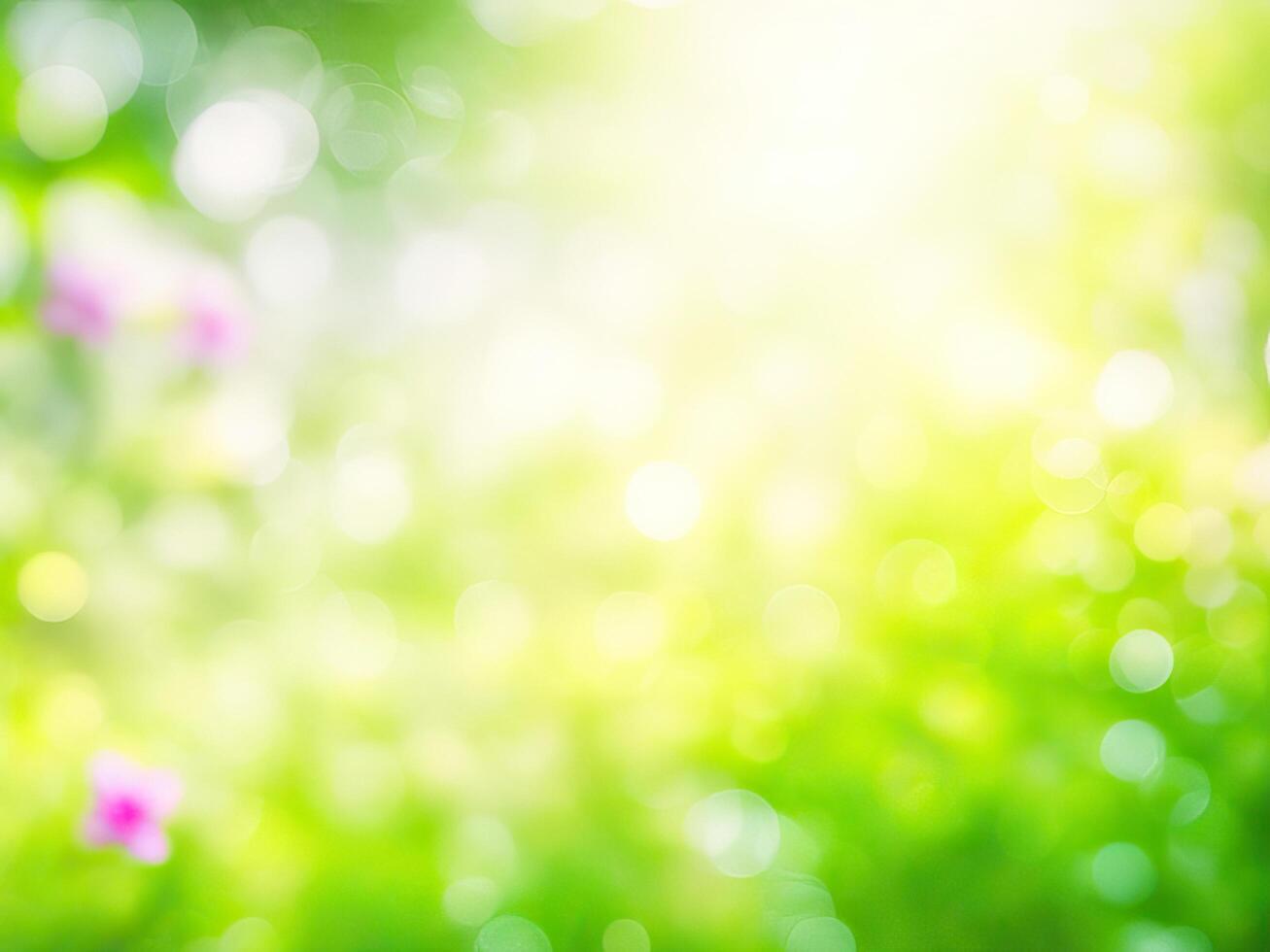 Shining defocused highlights in trees photo