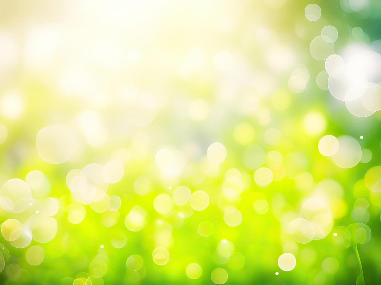 Shining defocused highlights in trees photo
