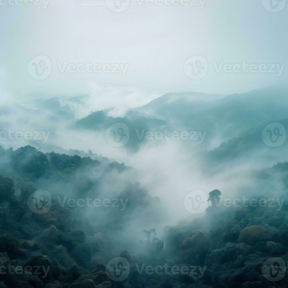 Fog over spruce forest trees in the early morning. Spruce trees silhouette on mountain hill forest in summer foggy scenery. Fog over the mountains Kanas morning fog. Generative AI photo