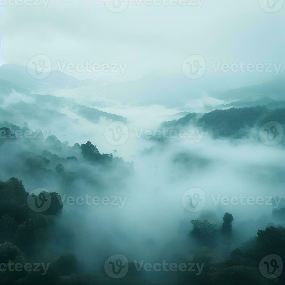 Fog over spruce forest trees in the early morning. Spruce trees silhouette on mountain hill forest in summer foggy scenery. Fog over the mountains Kanas morning fog. Generative AI photo