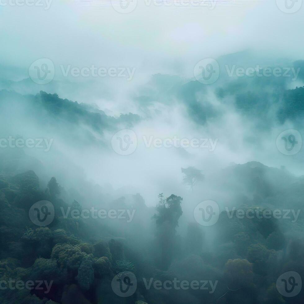 Fog over spruce forest trees in the early morning. Spruce trees silhouette on mountain hill forest in summer foggy scenery. Fog over the mountains Kanas morning fog. Generative AI photo