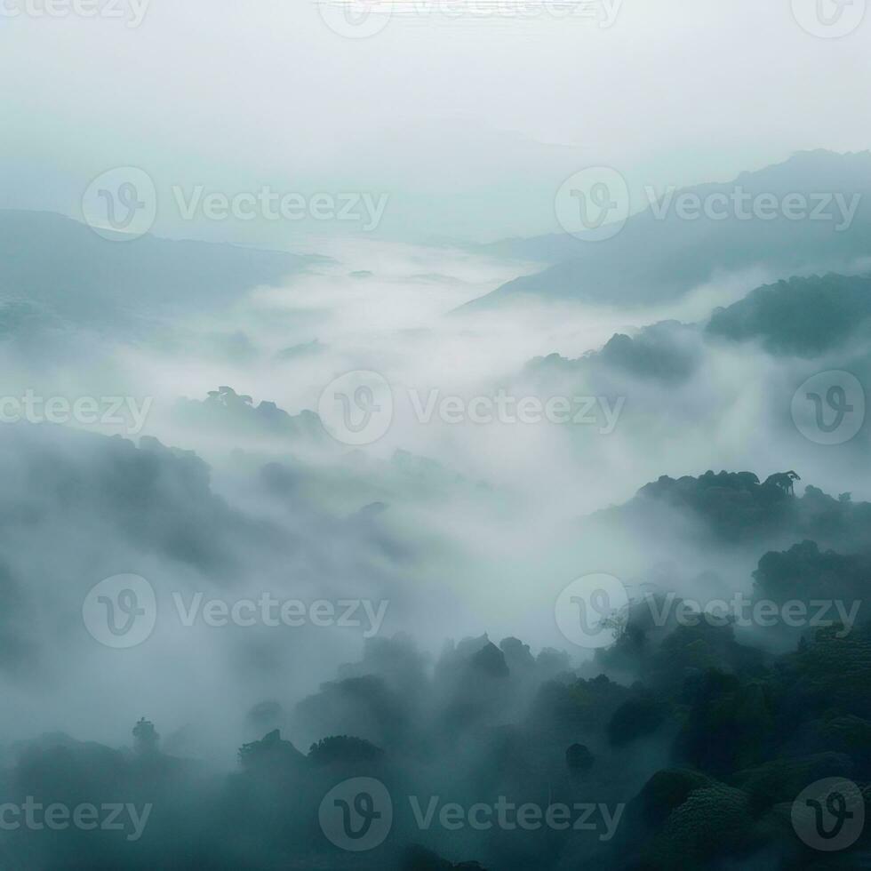 Fog over spruce forest trees in the early morning. Spruce trees silhouette on mountain hill forest in summer foggy scenery. Fog over the mountains Kanas morning fog. Generative AI photo