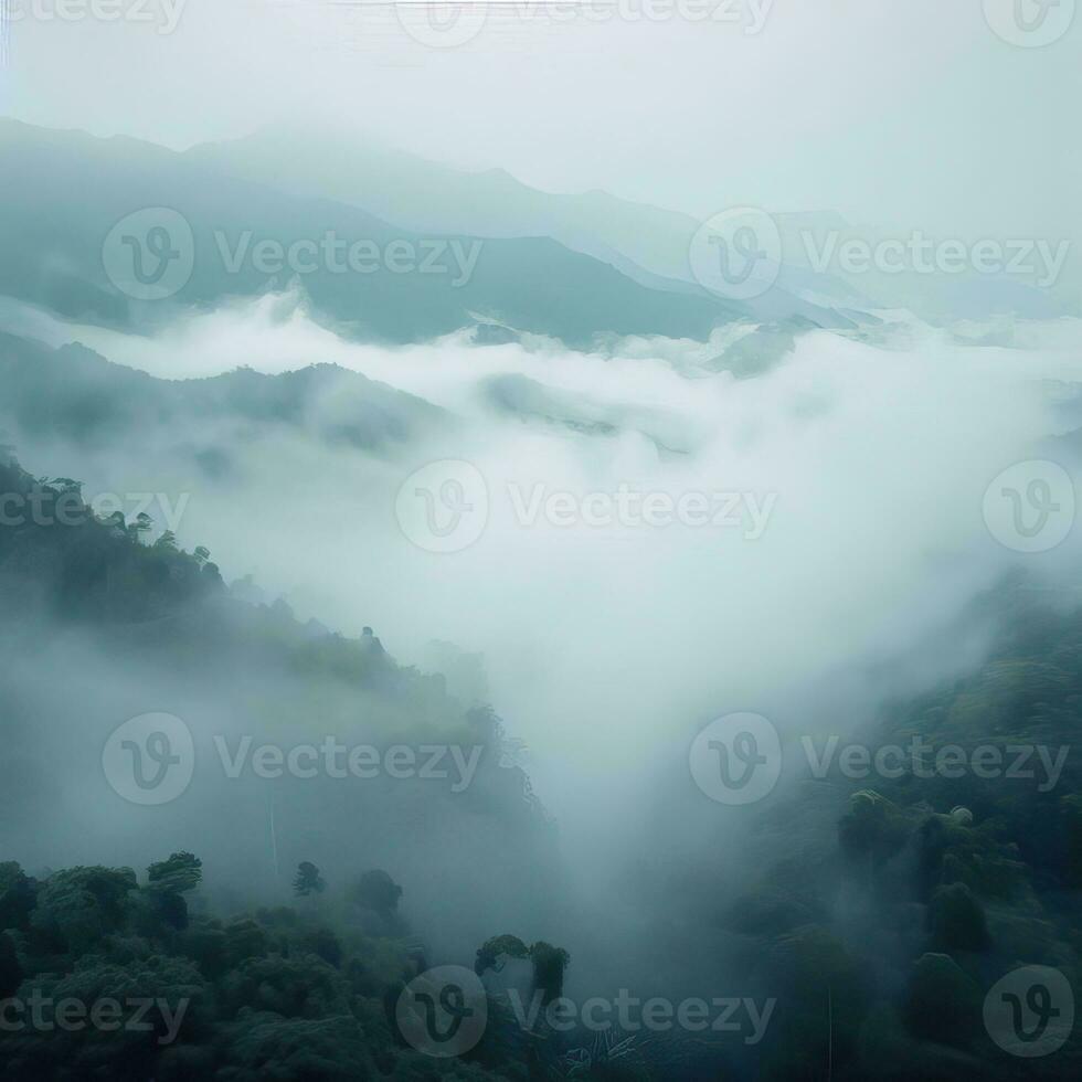 Fog over spruce forest trees in the early morning. Spruce trees silhouette on mountain hill forest in summer foggy scenery. Fog over the mountains Kanas morning fog. Generative AI photo