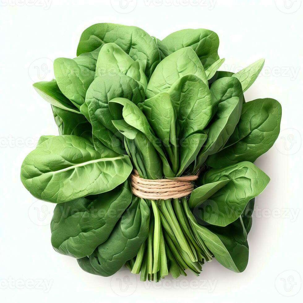 Bundle of fresh spinach isolated on white, top view Bunch of spinach