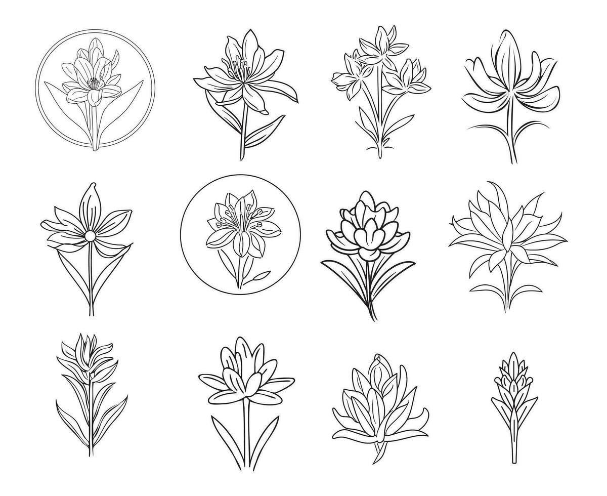 Tuberose logo sketch hand drawn in doodle style Vector illustration