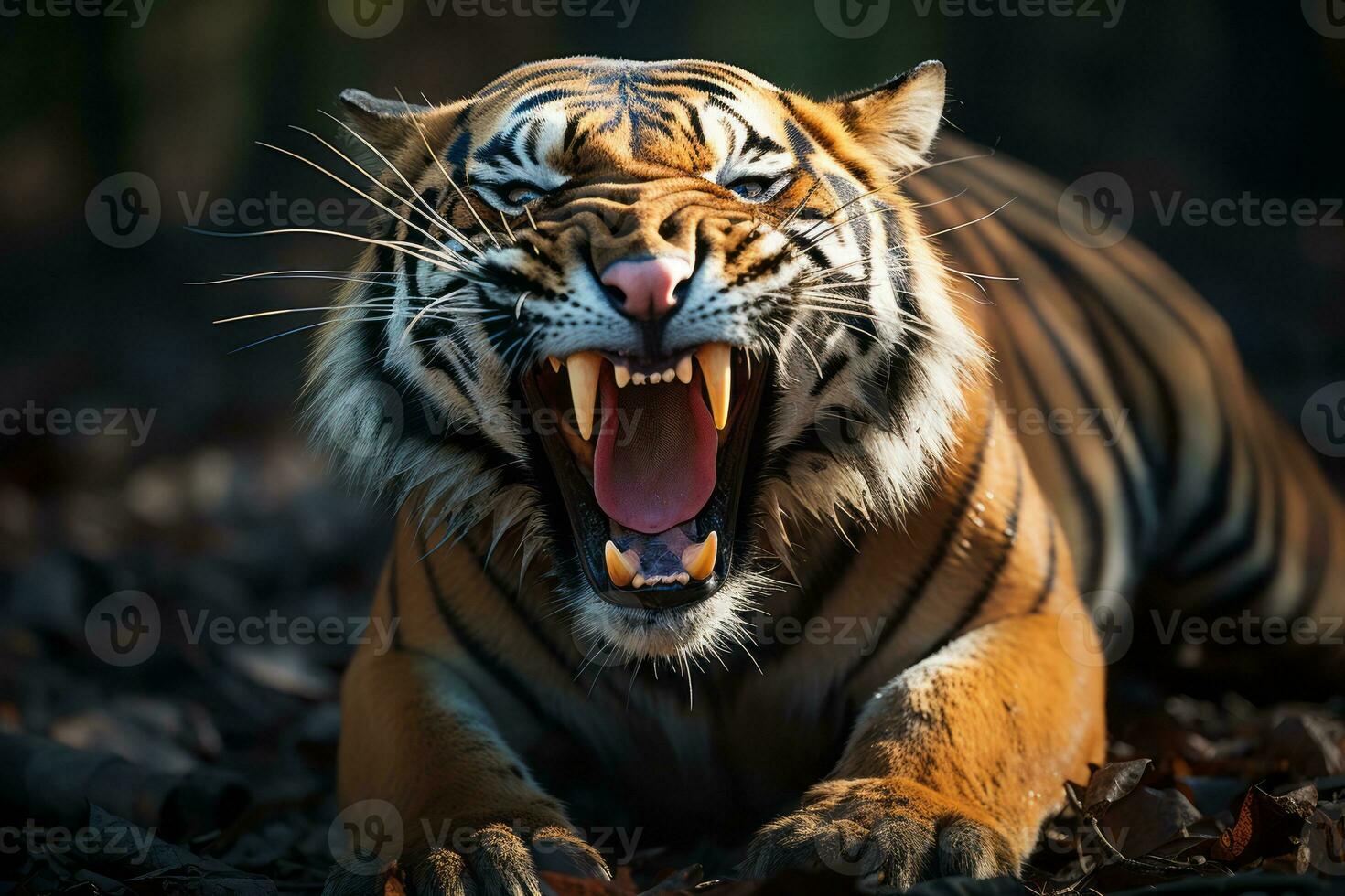 an angry tiger with its mouth open generative ai photo