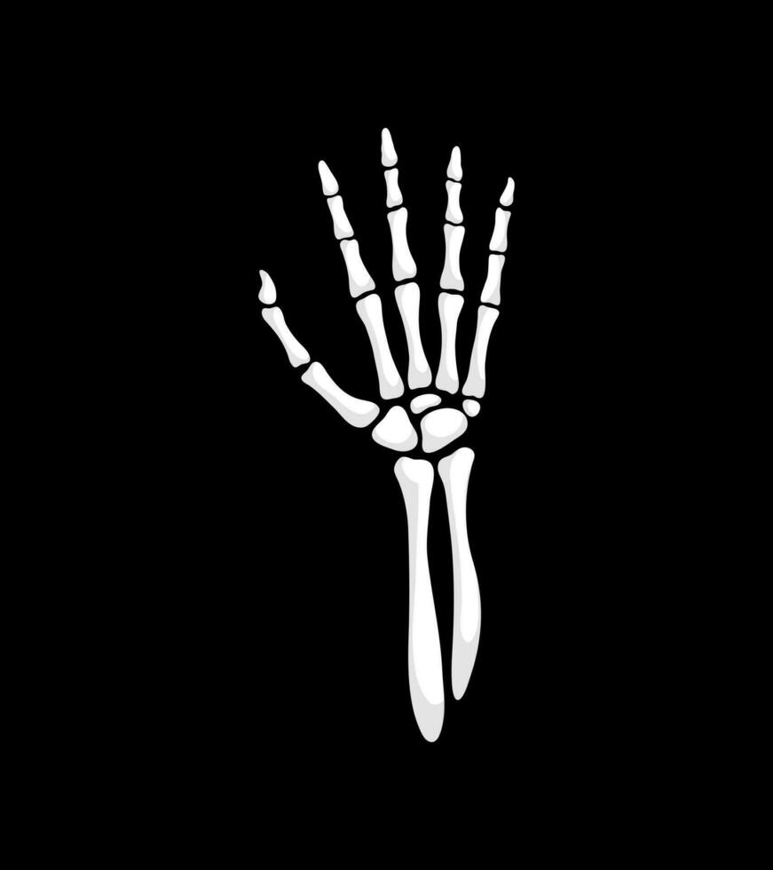 Skeleton hand gesture, isolated vector open palm