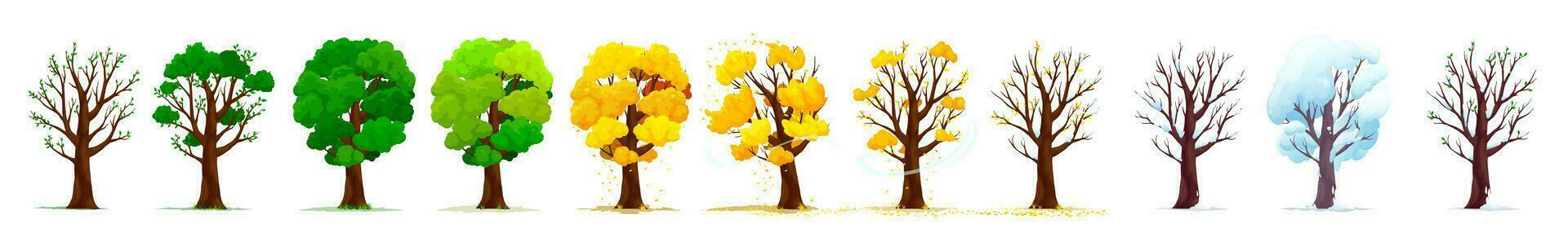 Four season isolated trees showcase nature beauty vector