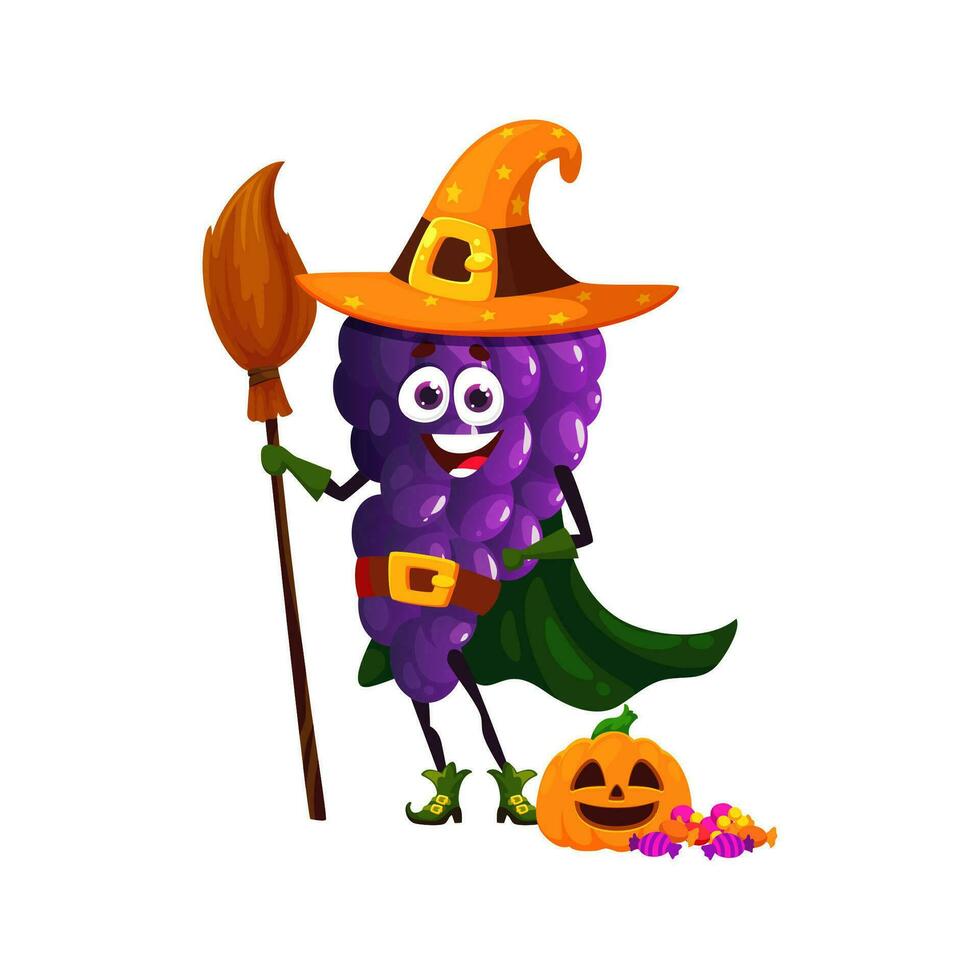 Cartoon funny halloween grapes in witch costume vector