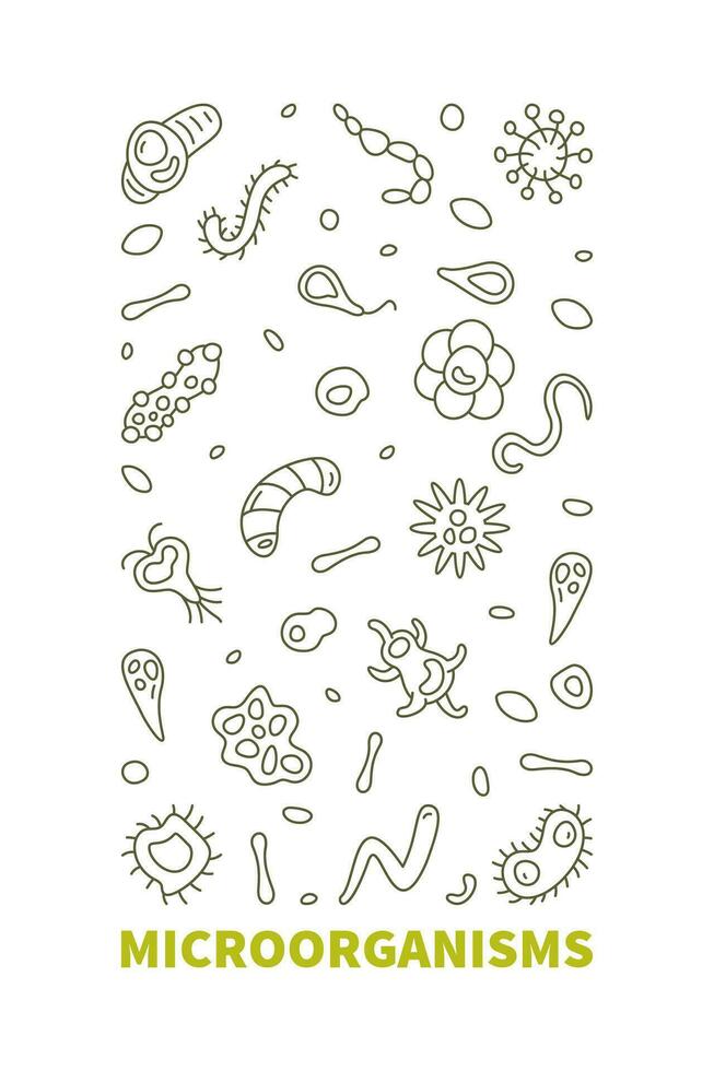 Microorganisms vector Micro Organisms concept outline vertical banner