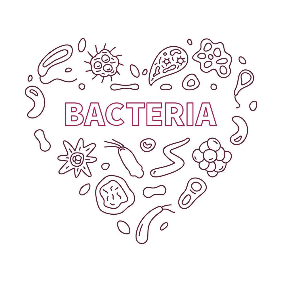 bacterias concepto contorno vector corazón conformado bandera con microbios lineal señales