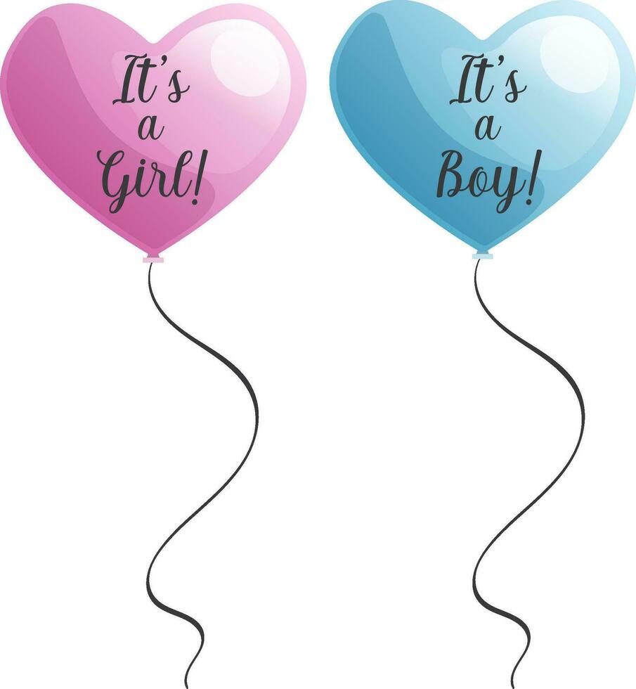 Heart shaped pink and blue balloons with girl or boy text for gender reveal party isolated vector