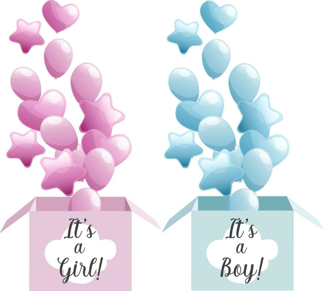 Blue and pink boxes for gender reveal party with boy and girl texts and air balloons isolated vector