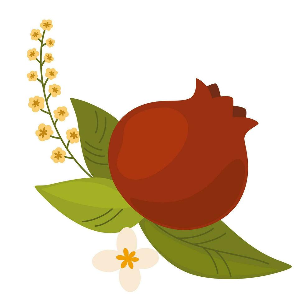 Pomegranate. Ripe pomegranate fruit, scientific name Punica granatum. Vector hand draw illustration isolated on white background.