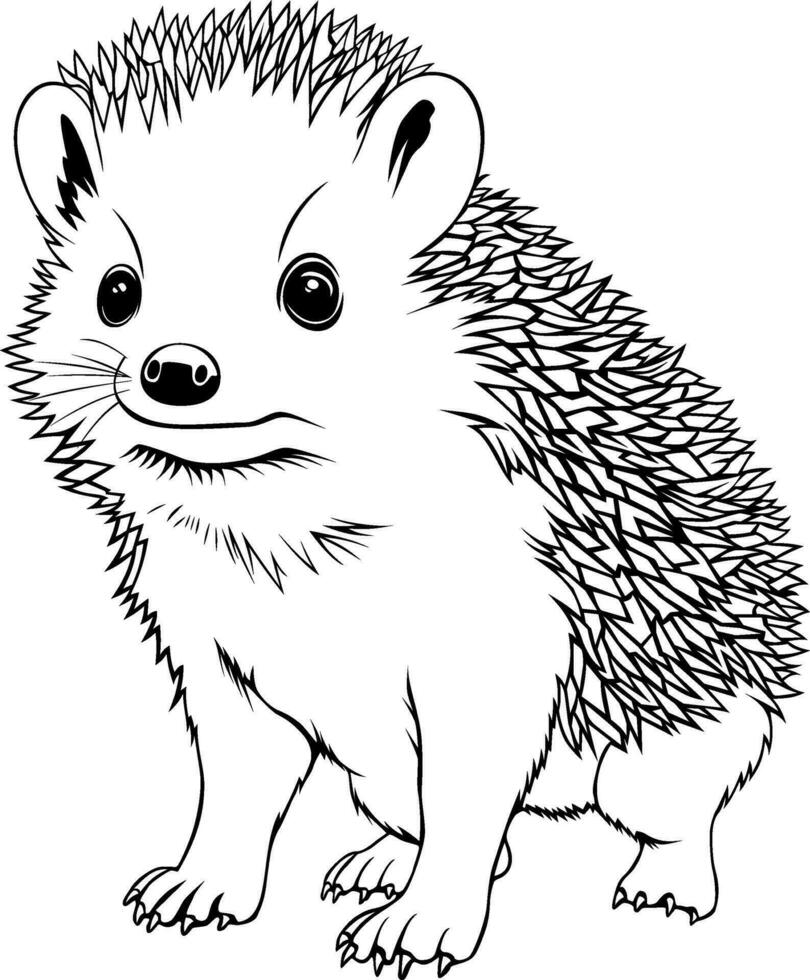 Realistic Hedgehog Vector Illustration